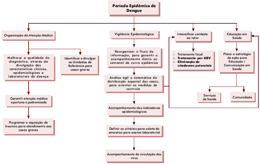 Manejo Clínico E Fluxograma De Atendimento De Dengue Em Pronto ...